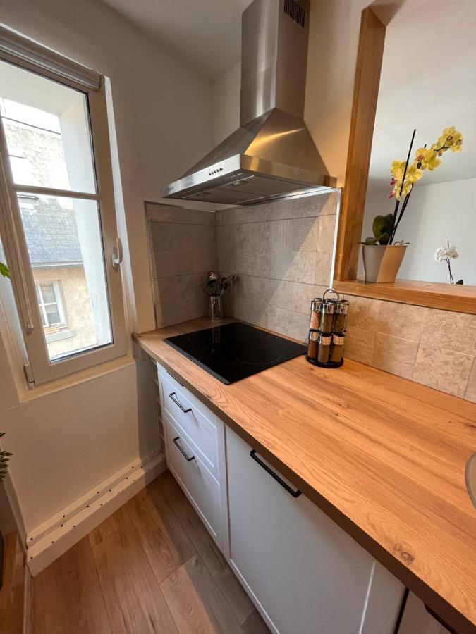 • Bel Appartement - Centre Historique De Πουατιέ Εξωτερικό φωτογραφία
